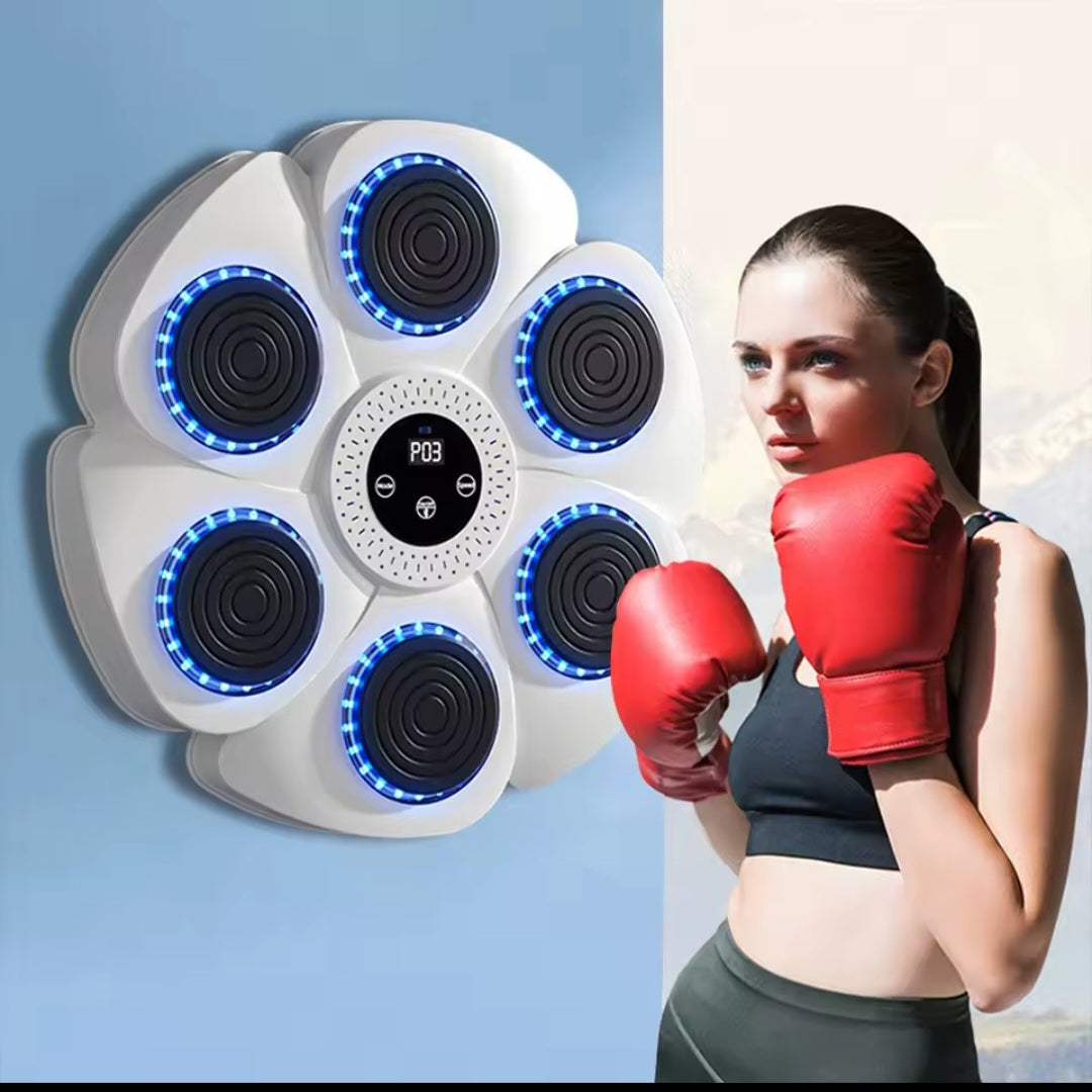 RiseLink Smart Music Boxing Wall Target – 6-Point Bluetooth Reflex Trainer