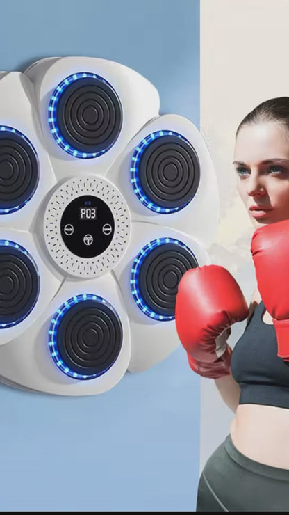 RiseLink Smart Music Boxing Wall Target – 6-Point Bluetooth Reflex Trainer